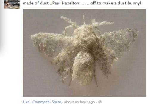 GG Paul Hazelton Dust Sculpt 561x352