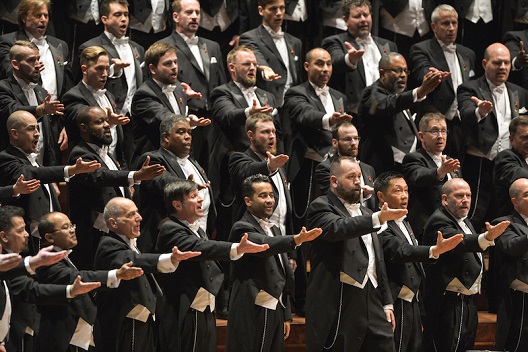 sfgmc-luster528x352